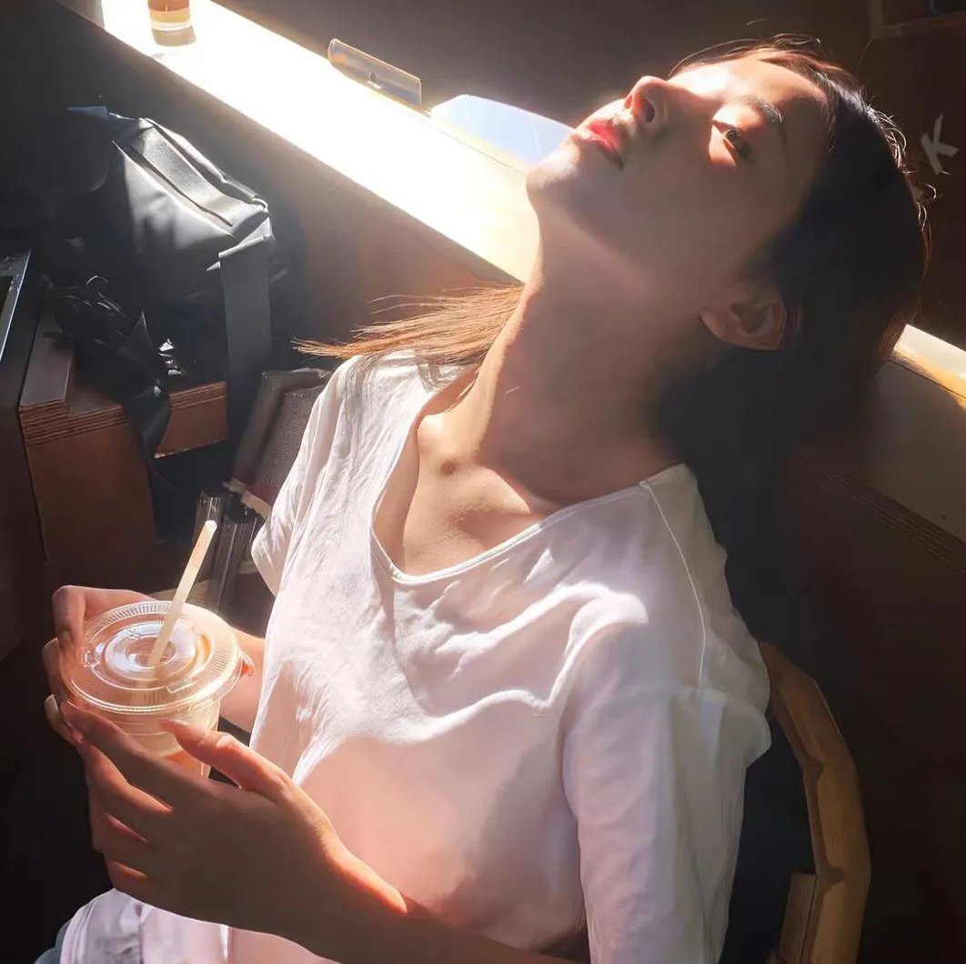 大明星醒目狗 在线观看封面