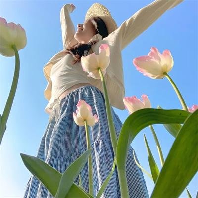 特战先锋 在线观看封面